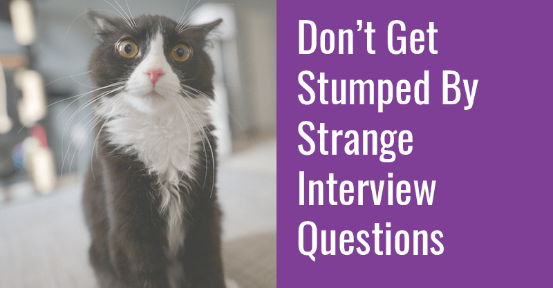Don't Get Stumped By Strange Interview Questions
