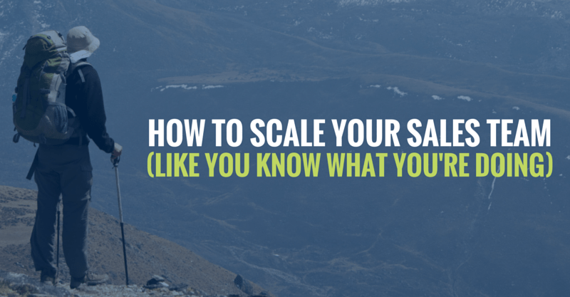 How To Scale Your Sales Team (Like You Know What You're Doing)